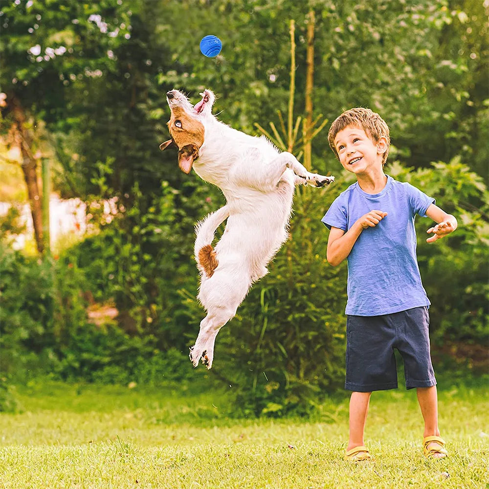 Pet Dog Toys