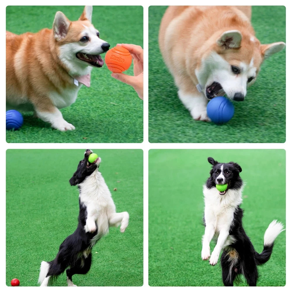 Pet Dog Toys