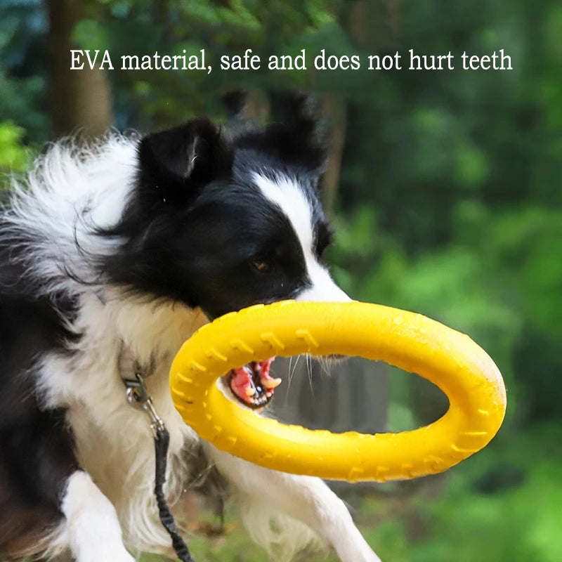 EVA Durable Dog