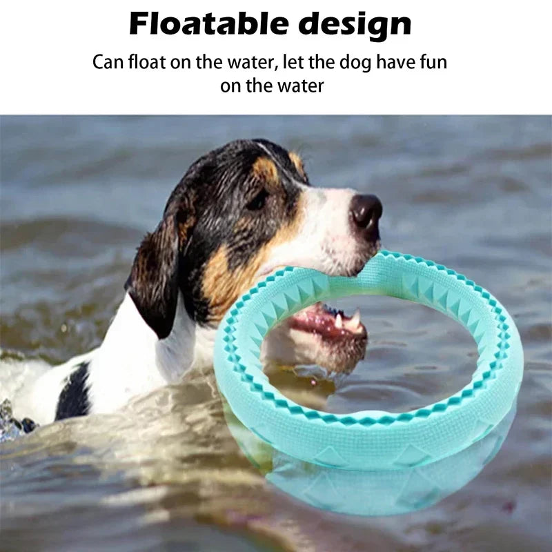 Dog Ring Toys Durable