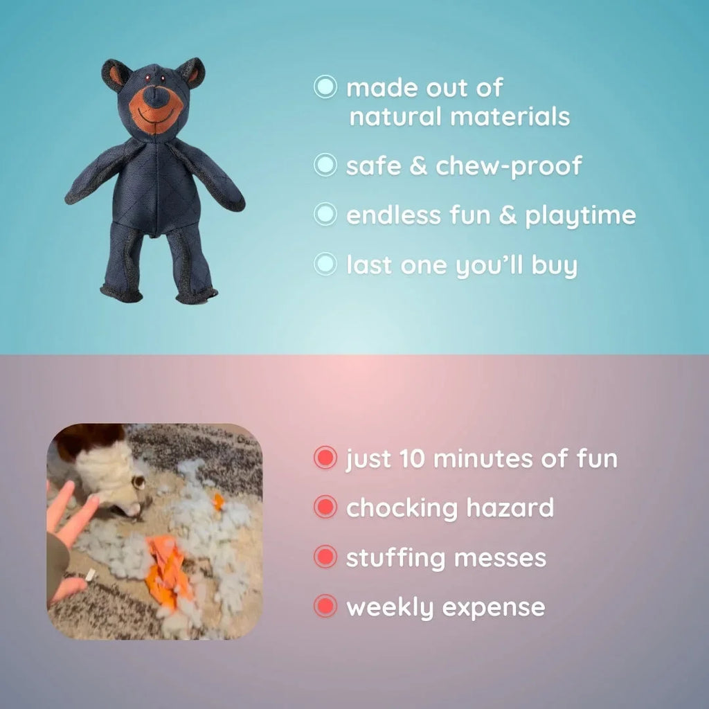 Bear 2.0 Dog