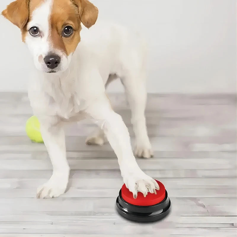 Dog Toys Funny