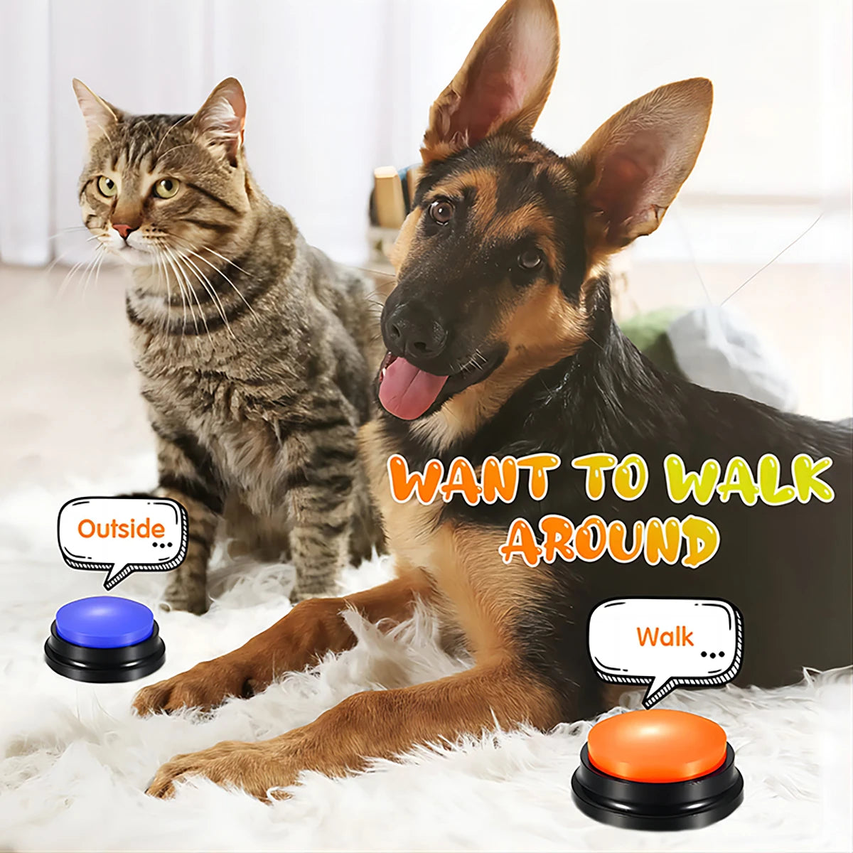 Dog Toys Funny