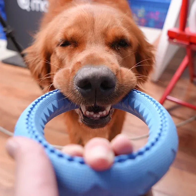 Dog Ring Toys Durable