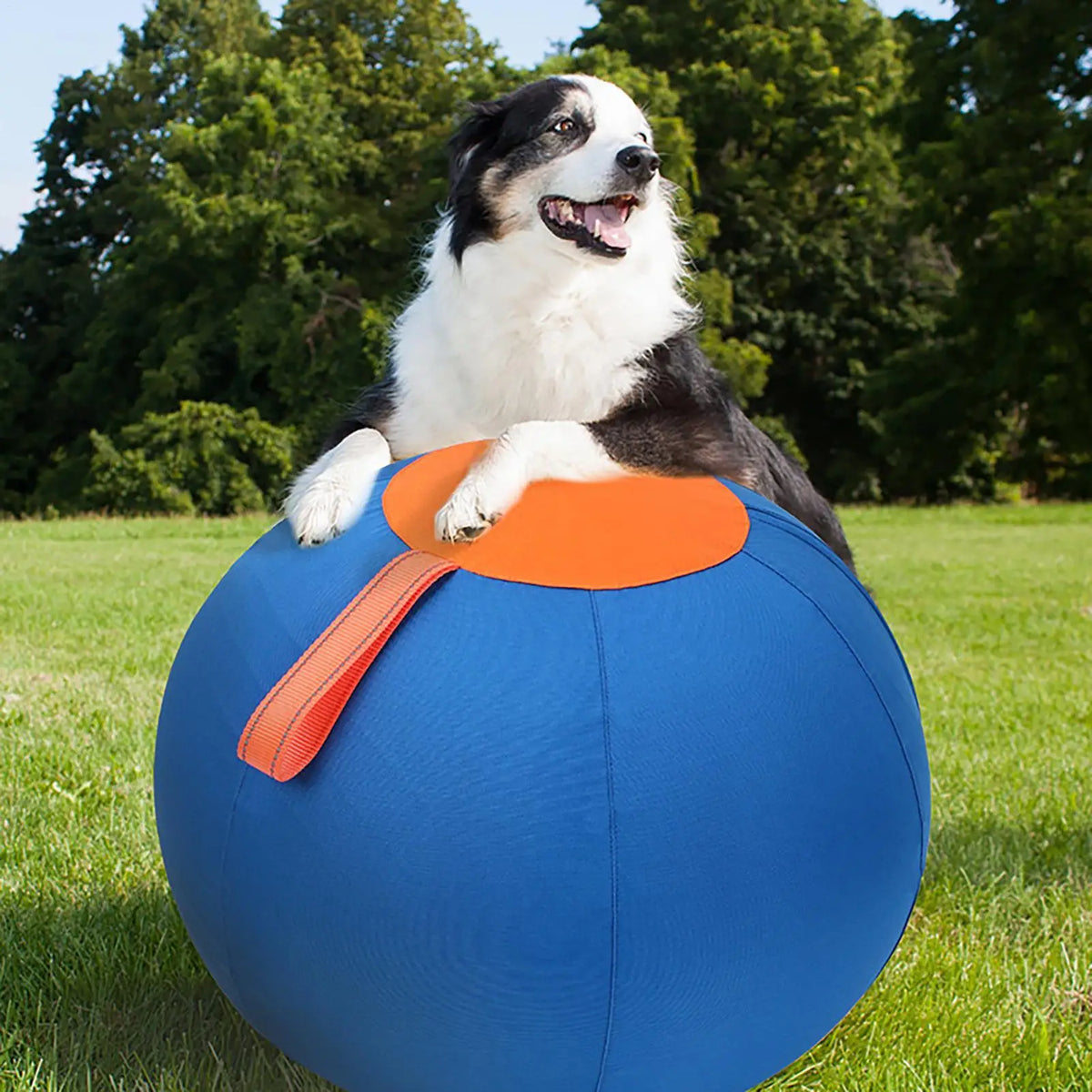 Dog Interactive ball