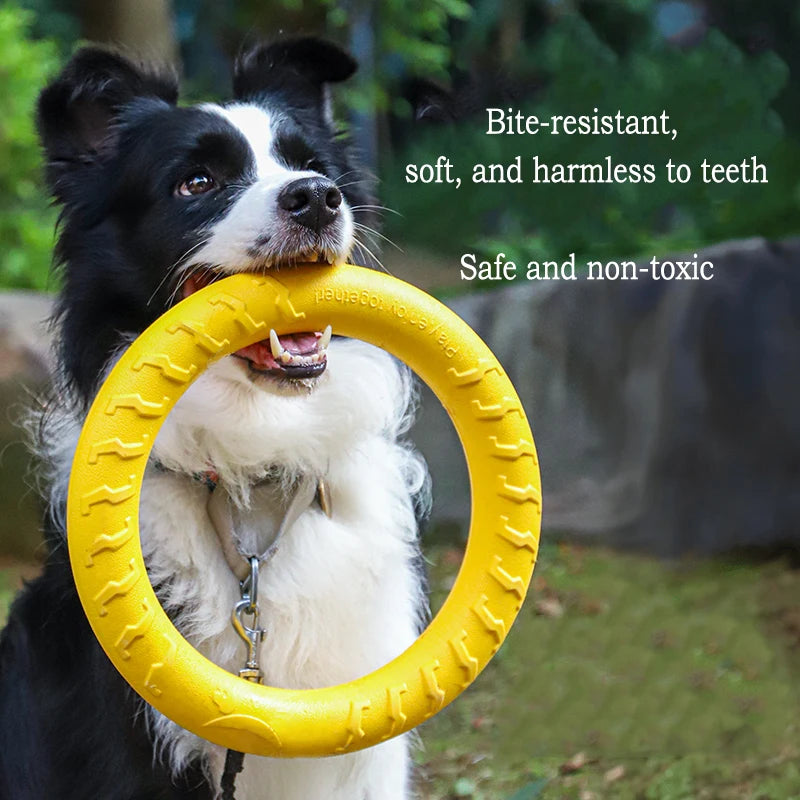 EVA Durable Dog