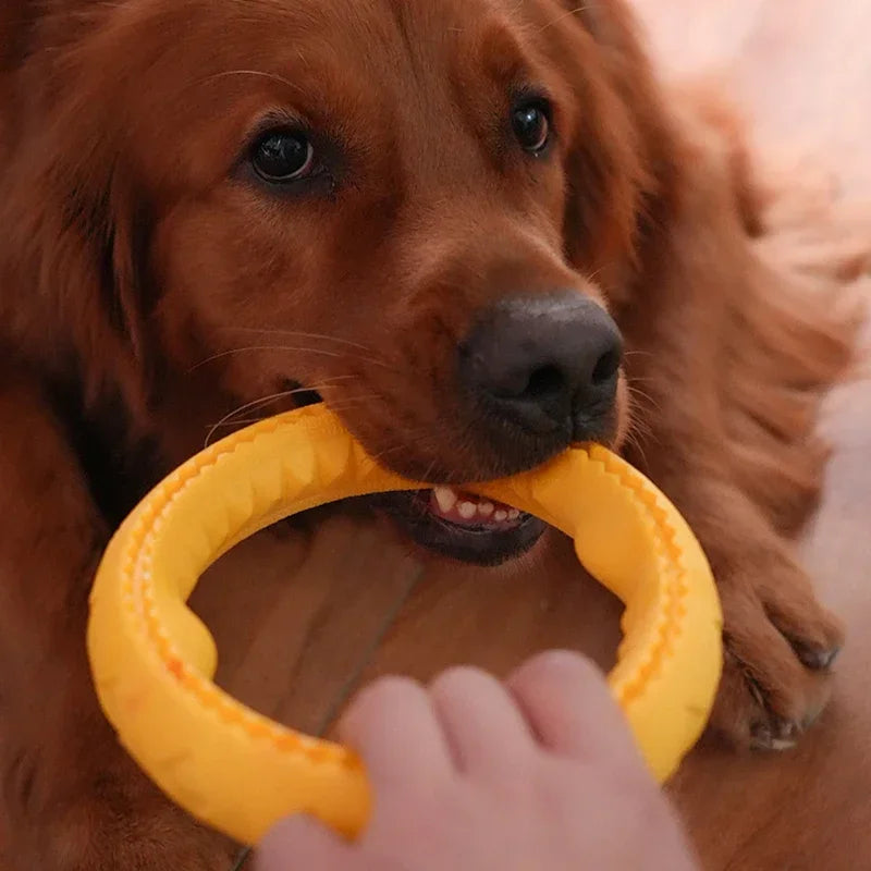 Dog Ring Toys Durable