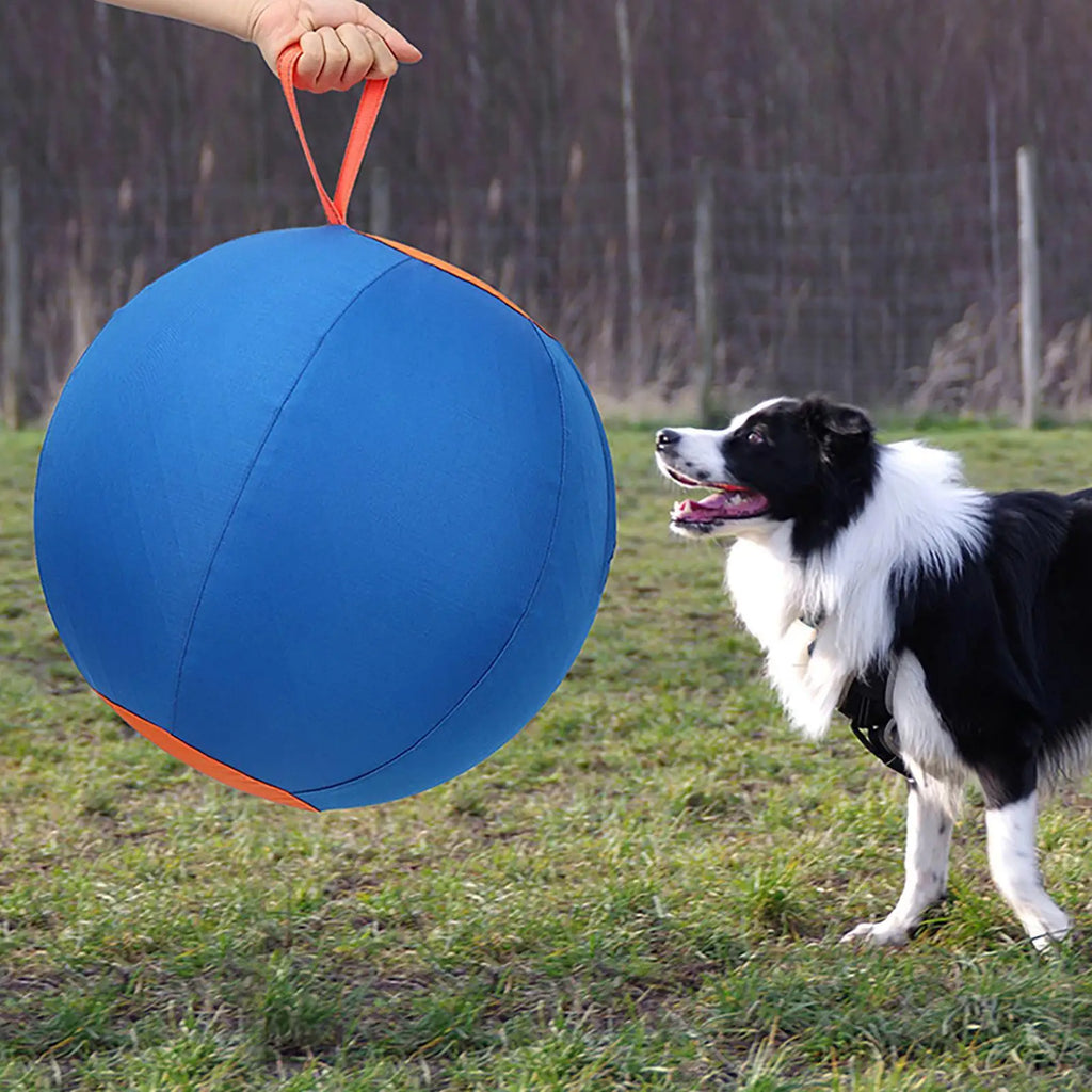 Dog Interactive ball
