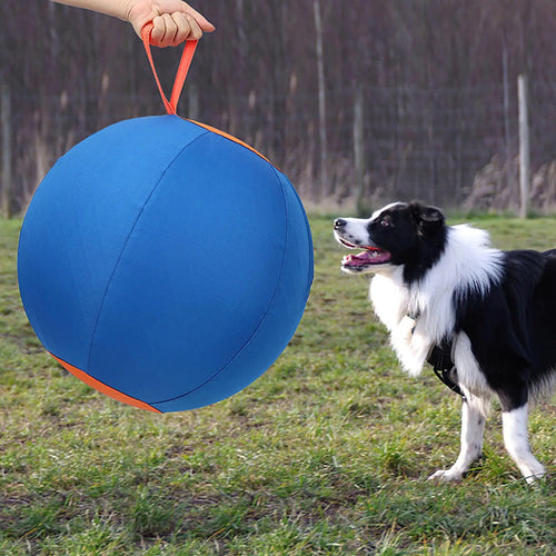 Dog Interactive ball