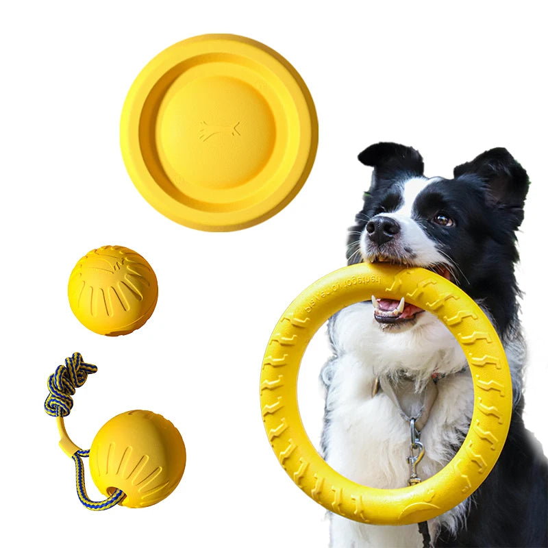 EVA Durable Dog