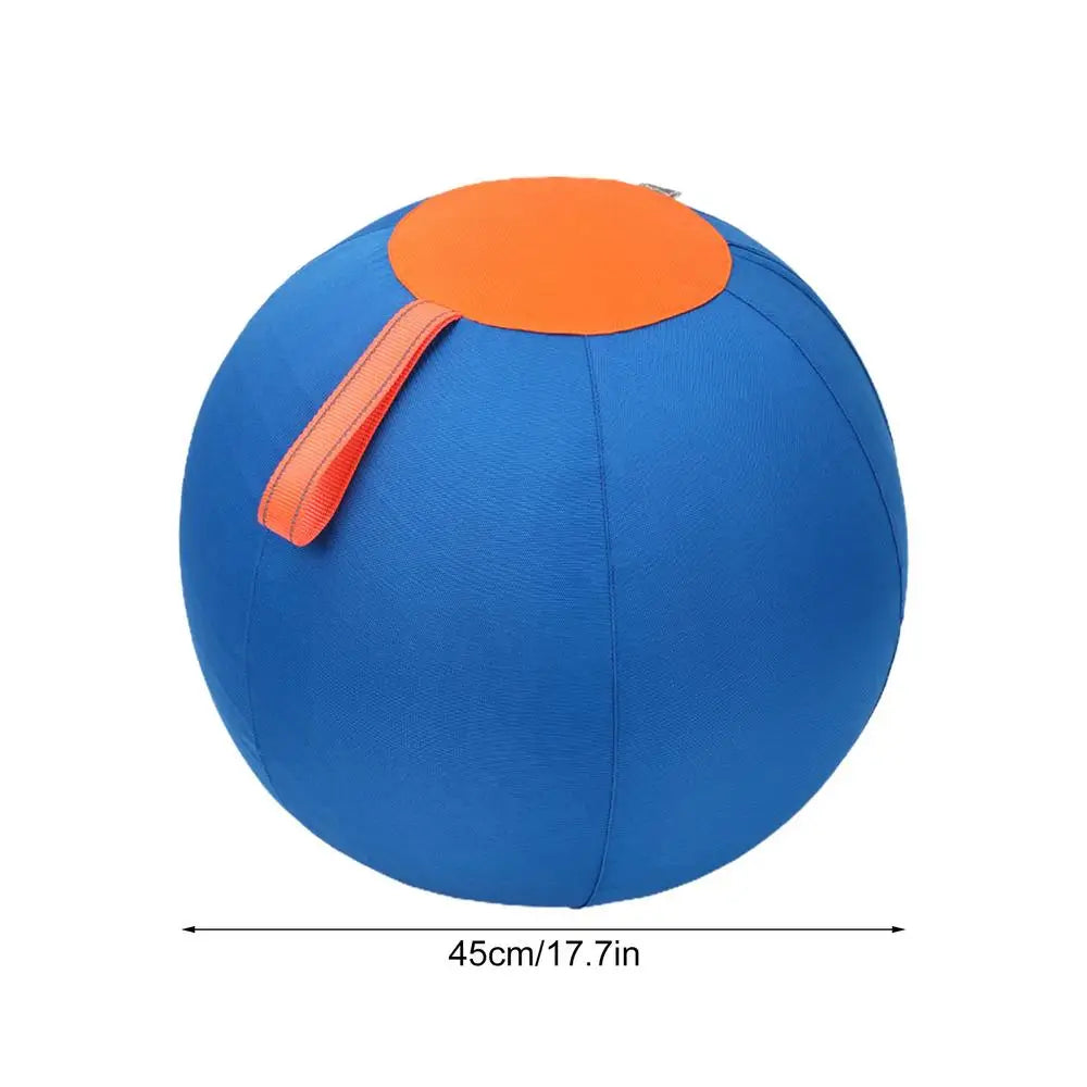 Dog Interactive ball