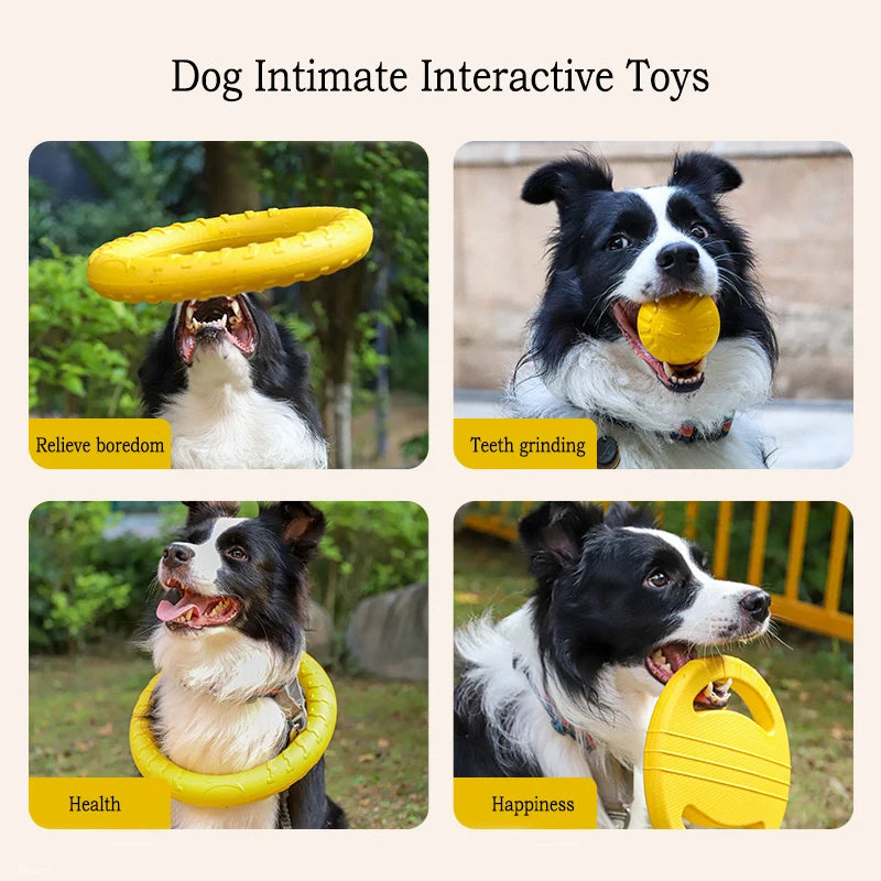 EVA Durable Dog